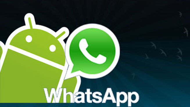 App WhatsApp Privacidad